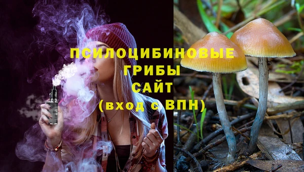 МДПВ Киреевск