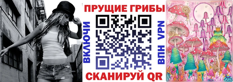Псилоцибиновые грибы Magic Shrooms  Купить где  Сальск 